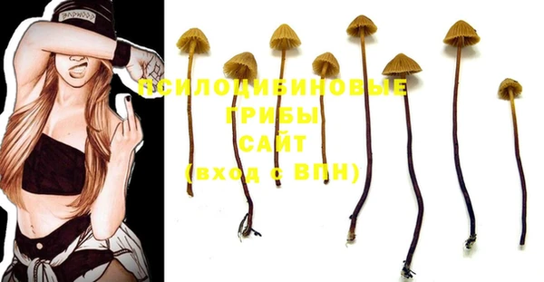 ALPHA PVP Калининец