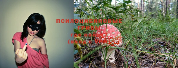 альфа пвп Нестеровская