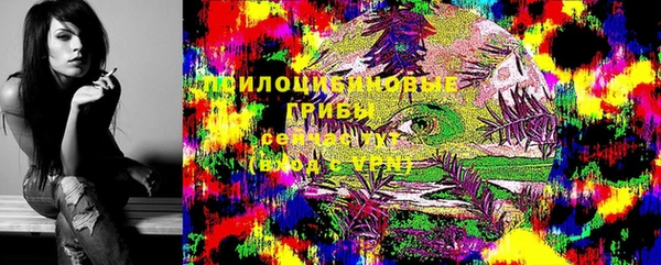 ALPHA PVP Калининец