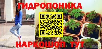 крисы Гусиноозёрск