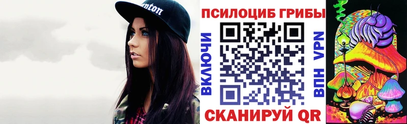кракен ССЫЛКА  Армавир  Псилоцибиновые грибы Cubensis 