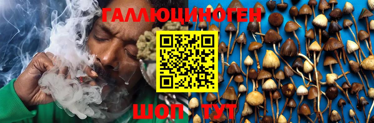 Галлюциногенные грибы GOLDEN TEACHER Армавир
