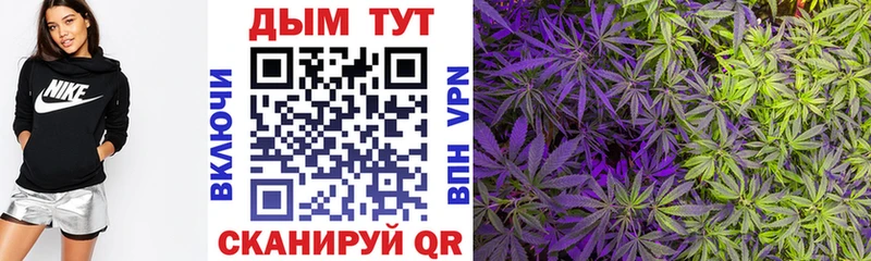 Конопля ГИДРОПОН Армавир
